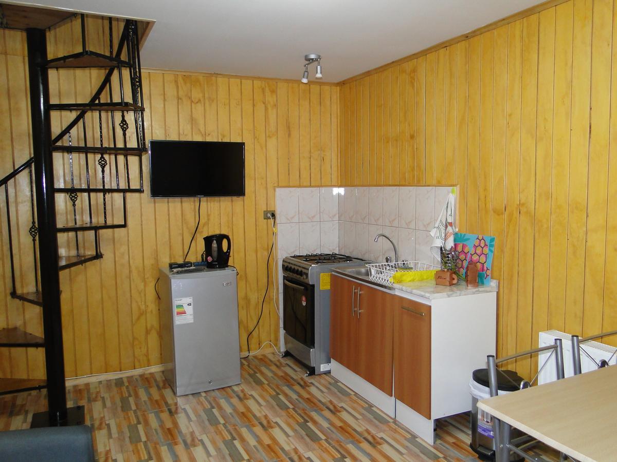 Cabanas Cisne Cuello Negro Apartment Valdivia Ngoại thất bức ảnh